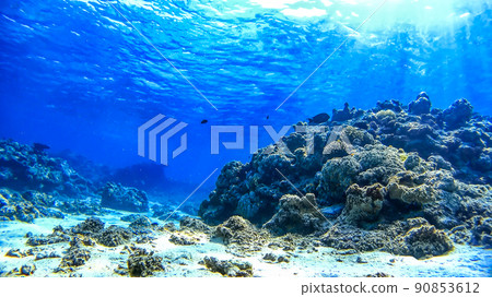 Nishihama Beach underwater photograph of Okinawa Akajima Nishihama Beach underwater photograph of Okinawa Akajima 90853612