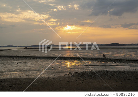 Ballistic Port Ballistic Port 90855210