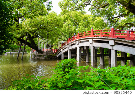 Fukuoka Prefecture Dazaifu Tenmangu Shrine-Shinji Pond- Fukuoka Prefecture Dazaifu Tenmangu Shrine-Shinji Pond- 90855440