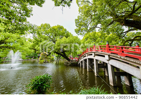Fukuoka Prefecture Dazaifu Tenmangu Shrine-Shinji Pond- Fukuoka Prefecture Dazaifu Tenmangu Shrine-Shinji Pond- 90855442