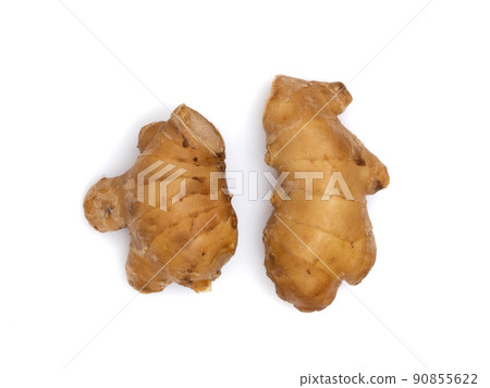 Ginger Ginger 90855622