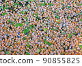 Ginkgo seeds that cover the surface of the earth 90855825
