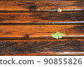 Ginkgo leaves (green) that fell on a wooden bench in the rain 90855826
