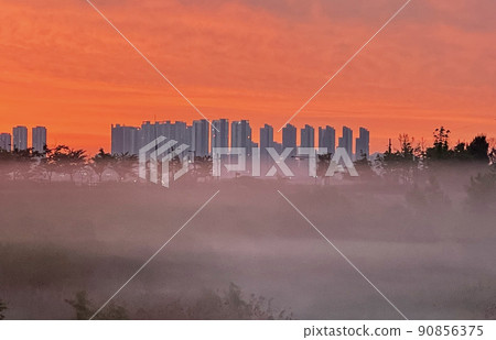 日出時有晨霧的公寓 90856375