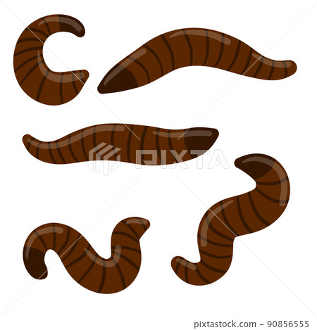 Leech. Set of bloodsucking insects Leech. Set of bloodsucking insects 90856555