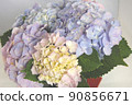 Hydrangea in a vase white background 90856671