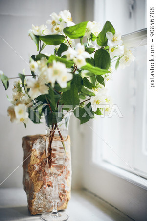 A bouquet of jasmine flowers in a wine glass on a windowsill. Vertical photo. A bouquet of jasmine flowers in a wine glass on a windowsill. Vertical photo. 90856788