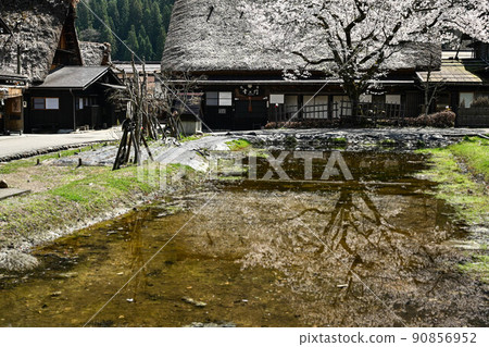 白川鄉春天的風景 白川鄉春天的風景 90856952