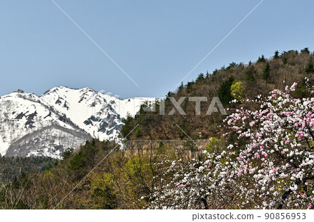 白川鄉春天的風景 白川鄉春天的風景 90856953