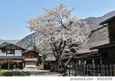 白川鄉春天的風景 白川鄉春天的風景 90856956
