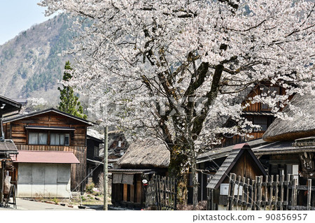 白川鄉春天的風景 白川鄉春天的風景 90856957