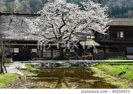 白川鄉春天的風景 白川鄉春天的風景 90856973