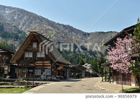 白川鄉春天的風景 90856979