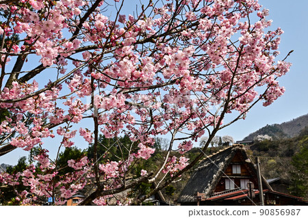 白川鄉春天的風景 白川鄉春天的風景 90856987
