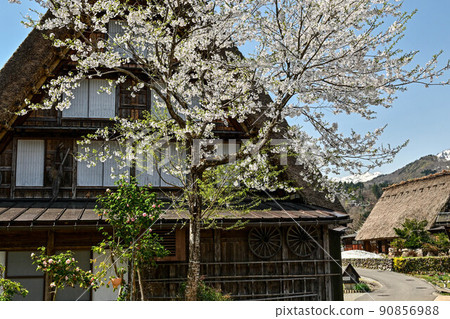 白川鄉春天的風景 白川鄉春天的風景 90856988