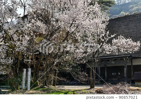 白川鄉春天的風景 白川鄉春天的風景 90857021