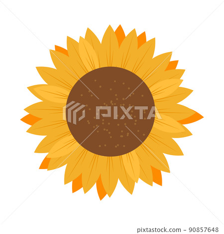 Sunflower National symbols of Ukraine. Vector illustration Sunflower National symbols of Ukraine. Vector illustration 90857648