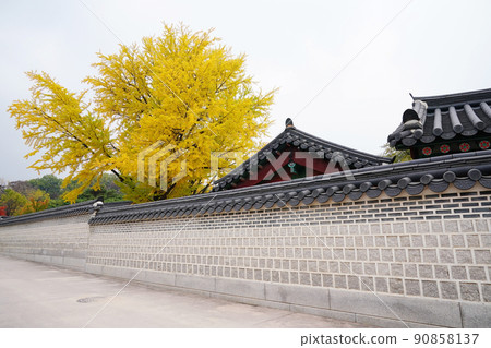 昌德宮的深秋 90858137