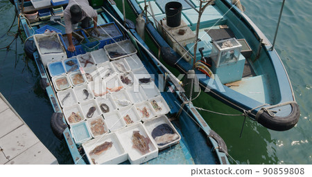 Sai Kung, Hong Kong 30 March 2021 90859808