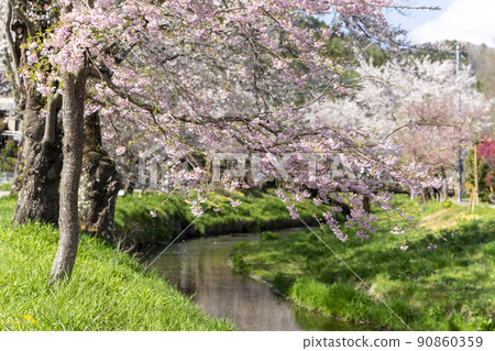 Scenery around Oshino Hakkai and Oshino Hakkai 90860359