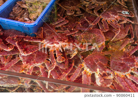 Live Japanese king crabs in market Live Japanese king crabs in market 90860411