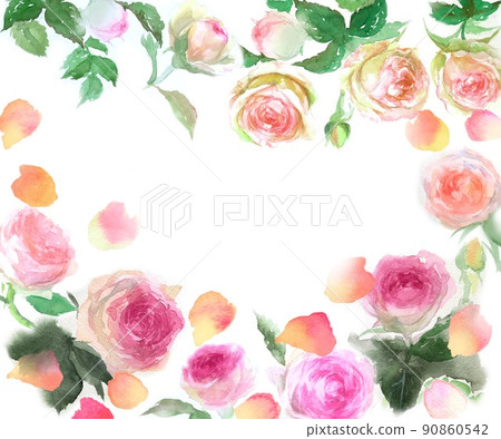 Pink roses Pierre de Ronsard flower wreath watercolor hand drawn illustration Pink roses Pierre de Ronsard flower wreath watercolor hand drawn illustration 90860542
