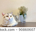 Cat and smoke tree 90860607