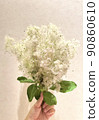 A bouquet of smoke trees in my hand 90860610