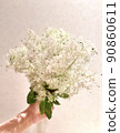 A bouquet of smoke trees in my hand 90860611