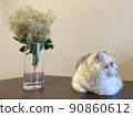Cat and smoke tree 90860612