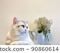 Cat and smoke tree 90860614