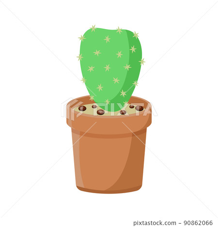 Green cactus in clay pot isolated vector Green cactus in clay pot isolated vector 90862066