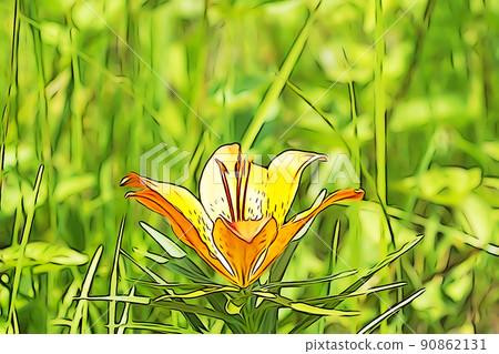 柔和的“盛開的Ezosukashiyuri”插圖圖像 柔和的“盛開的Ezosukashiyuri”插圖圖像 90862131