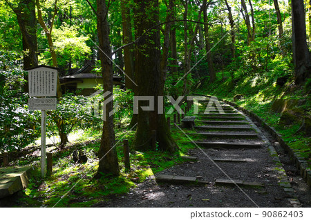 成田山新勝寺景觀 成田山新勝寺景觀 90862403
