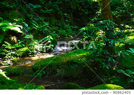 成田山新勝寺景觀 90862405