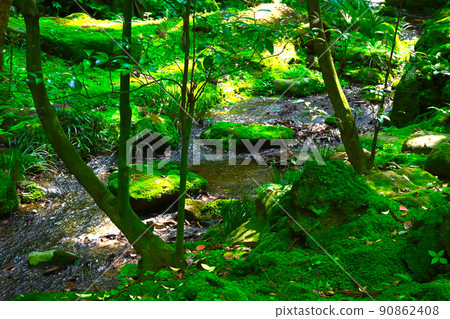 成田山新勝寺景觀 90862408