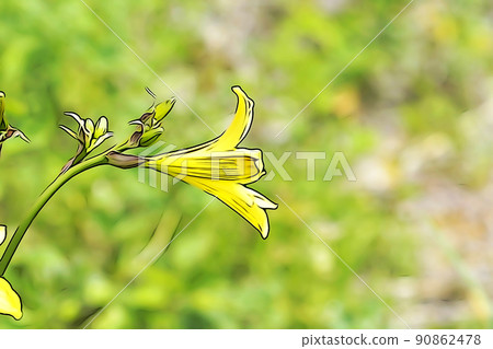 Pastel-like "Ezokisuge in full bloom" illustration image 90862478