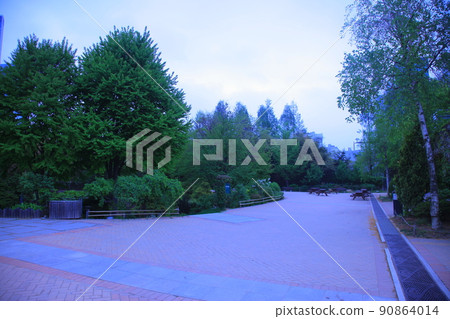 奧林匹克公園 春天的花朵 首爾森林 90864014