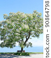 Popular Instagram spot that bench 90864798