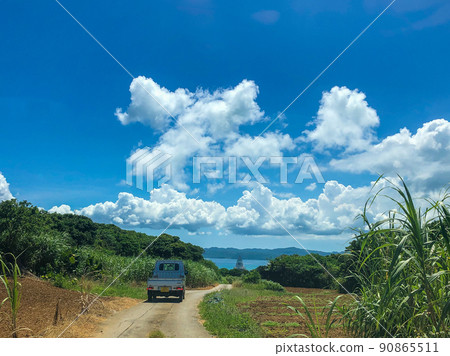 一輛在鄉間小路上行駛的輕型卡車 90865511