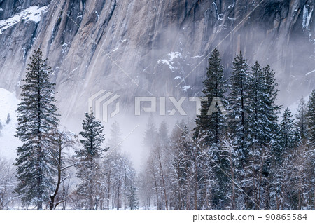 Misty valley floor Misty valley floor 90865584