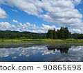 Large clouds and trees moving into a pond with small aquatic plants 90865698