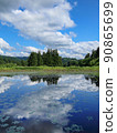 Large clouds and trees moving into a pond with small aquatic plants 90865699