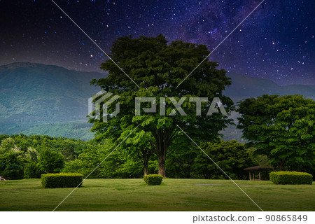 星空下的牧場清爽夜景 90865849