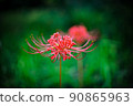 希根花的風景 90865963