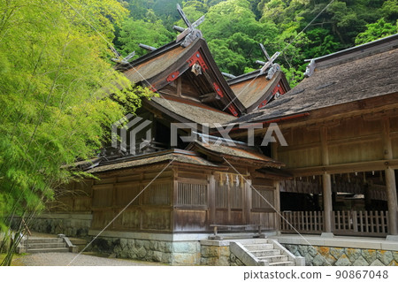[Shimane Prefecture] Fresh green Miho Shrine 90867048