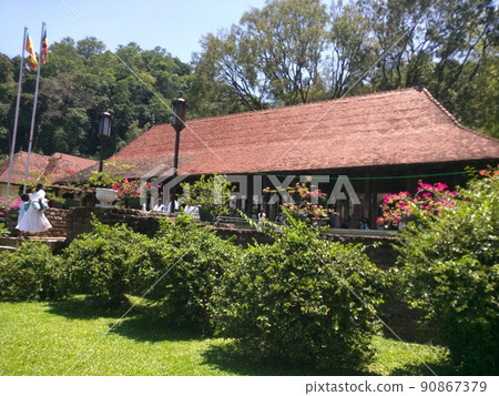 斯里蘭卡 斯里蘭卡 90867379