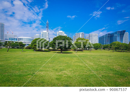 High-rise condominiums in Minato Mirai, Yokohama from Rinko Park 90867537