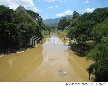 Sri Lanka Sri Lanka 90867604