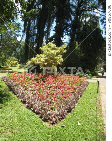 Sri Lanka Sri Lanka 90867606